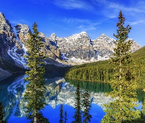 Park Narodowy Banff, Jezioro Moraine, Prowincja Alberta, Kanada, Odbicie, Rzeka, Góry, Świerki, Dolina Valley of the Ten Peaks