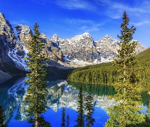 Kanada, Świerki, Góry, Odbicie, Rzeka, Jezioro Moraine, Prowincja Alberta, Park Narodowy Banff, Dolina Valley of the Ten Peaks