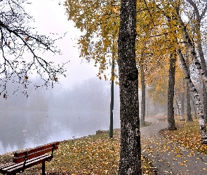 Jesień, Park, Staw, Mgła, Ławka, Drzewa