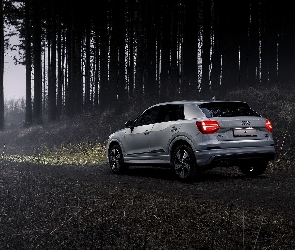 2017, Las, Audi Q2 S-Line
