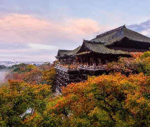 Dzielnica Higashiyama, Kompleks świątynny Kiyomizu-dera, Kioto, Japonia, Mgła, Jesień, Świątynia buddyjska, Drzewa, Góra Otowa