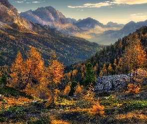 Kamienie, Góry, Alpy, Świerki, Jesień, Włochy, Dolomity