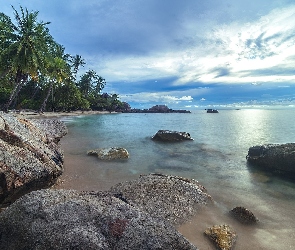 Ocean Spokojny, wyspa Ko Tao, Tajlandia, Prowincja Surat Thani, Kamienie, Zatoka Tajlandzka, Palmy, Morze