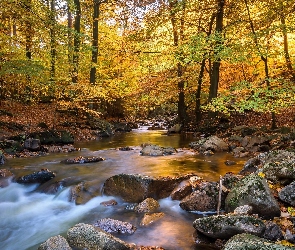 Rzeka, Jesień, Drzewa, Kamienie, Las