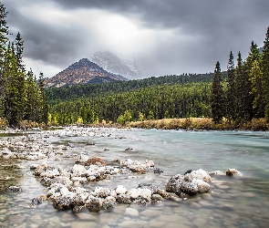 Drzewa, Góry, Prowincja Alberta, Kamienie, Rzeka, Kanada, Park Narodowy Banff