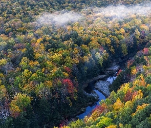 Hrabstwo Ontonagon, Jesień, Stan Michigan, Stany Zjednoczone, Mgła, Drzewa, Las, Rzeka, Rzeka Carp River