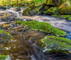 Hrabstwo Yorkshire, Kamienie, Omszałe, Rzeka Wharfe, Anglia