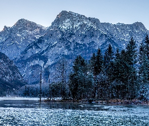 Austria, Drzewa, Dolina Almtal, Jezioro Almsee, Góry Alpy