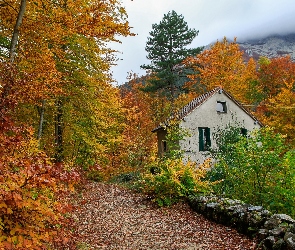 Droga, Dom, Drzewa, Jesień, Góry
