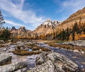 Kamienie, Kolumbia Brytyjska, Strumień, Park Narodowy Yoho, Kanada, Góra Mount Huber, Drzewa, Góry, Rzeka, Płaskowyż Opabin Plateau