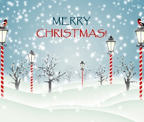 Latarnie, Drzewa, 2D, Śnieg, Napis, Merry Christmas, Ptaki