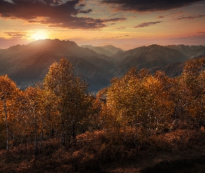 Jesień, Drzewa, Kanton Ticino, Zachód słońca, Jezioro Maggiore, Szwajcaria, Góry Alpy