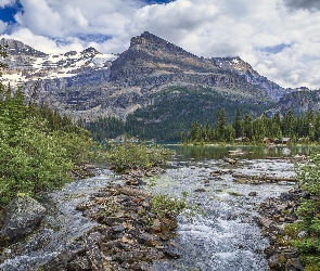 Drzewa, Jezioro O’Hara, Kolumbia Brytyjska, Kanada, Park Narodowy Yoho, Góry Canadian Rockies