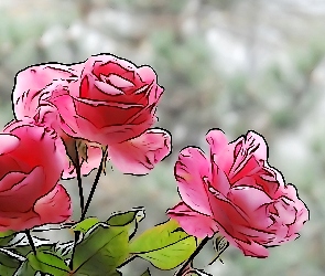 Róże, Grafika 2D, Bukiet
