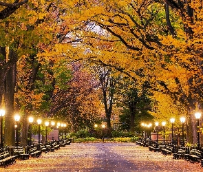 Latarnie, Ławeczki, Nowy Jork, Jesień, Aleja, Stany Zjednoczone, Central Park