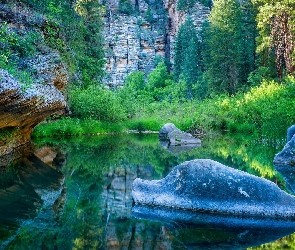 Drzewa, Kamienie, Arizona, Skały, Wąwóz West Clear Creek Canyon, Stany Zjednoczone, Obszar West Clear Creek Wilderness