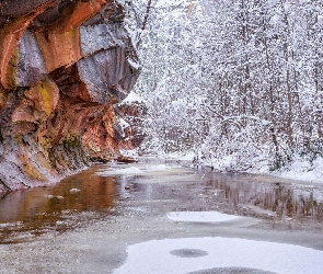 Stany Zjednoczone, Ośnieżone, Zima, Drzewa, Skały, Szlak West Fork Oak Creek Trail, Arizona, Sedona, Rzeka Oak Creek