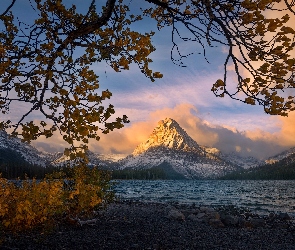 Stany Zjednoczone, Gałęzie, Jezioro, Drzewa, Two Medicine Lake, Szczyt Sinopah Mountain, Stan Montana, Park Narodowy Glacier, Góry Lewis Range