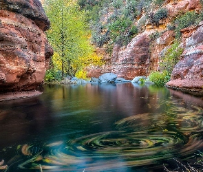 Skały, Rzeka Oak Creek, Arizona, Drzewa, Wąwóz Oak Creek Canyon, Stany Zjednoczone, Sedona