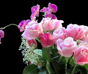 Tło ciemne, Storczyki, Kwiaty, Fractalius, Bukiet, Róże