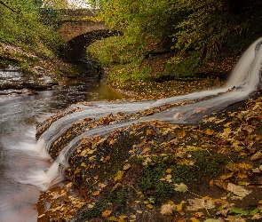 Most, Drzewa, Kumbria, Anglia, Rzeka River Gelt, Las