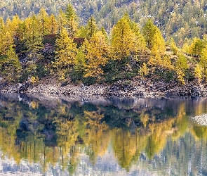 Włochy, Odbicie, Jezioro Dévero - Lago di Devero, Drzewa, Park przyrody Alpe Veglia i Alpe Devero