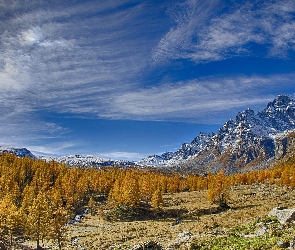 Region Piemont, Włochy, Drzewa, Dolina Val Buscagna, Ośrodek narciarski Alpe Devero, Jesień, Góry Alpy
