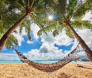 Ocean, Chmury, Palmy, Plaża, Hawaje