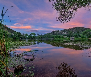 Rośliny, Trawy, Jezioro, Wzgórza