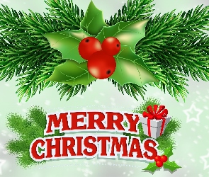 2D, Prezent, Napis, Boże Narodzenie, Merry Christmas, Gałązki