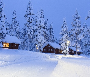 Zima, Latarnie, Domy, Drzewa, Śnieg