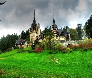 Pałac, Transylwania, Sinaia, Peles