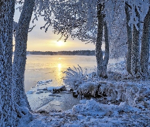 Jezioro, Region Etelä-Savo, Finlandia, Wschód słońca, Ośnieżone, Zima, Drzewa, Miasto Savonlinna