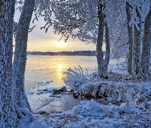 Region Etelä-Savo, Zima, Finlandia, Jezioro, Drzewa, Miasto Savonlinna, Wschód słońca, Ośnieżone