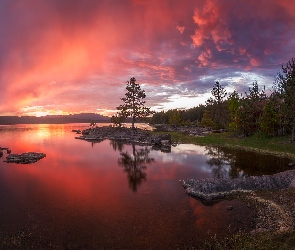 Zachód słońca, Drzewa, Gmina Ringerike, Jezioro, Norwegia