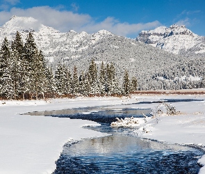 Góry, Zima, Stan Wyoming, Drzewa, Rzeka Soda Butte Creek, Stany Zjednoczone, Narodowy Park Yellowstone