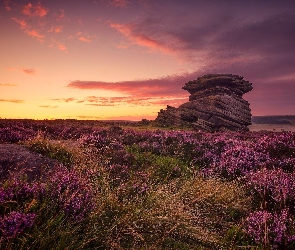 Anglia, Skały, Kamienie, Zachód słońca, Wrzosowisko, Wzgórza, Hrabstwo Derbyshire, Park Narodowy Peak District, Formacja skalna Salt Cellar