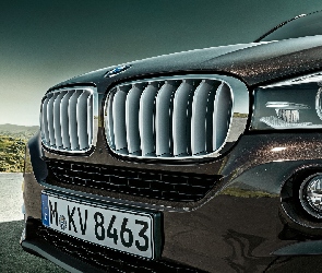 Grill, BMW X5 E70