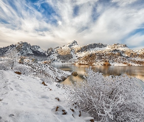 Kastylia i León, Góry, Hiszpania, Zima, Drzewa, Jezioro Embalse de Riaño, Śnieg, Krzewy