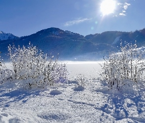 Krzewy, Promienie słońca, Góry, Drzewo, Alpy Gailtalskie, Karyntia, Jezioro Weißensee, Zima, Austria, Krajobraz