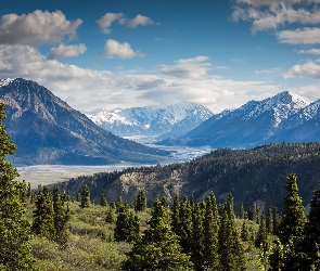 Kanada, Lasy, Szczyt, Drzewa, Mount Logan, Masyw, Jukon, Park Narodowy Kluane, Góry