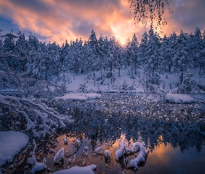 Śnieg, Drzewa, Staw, Norwegia, Gmina Ringerike, Zima