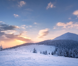 Zima, Karpaty, Ukraina, Chmury, Drzewa, Las, Wschód słońca, Góry Gorany