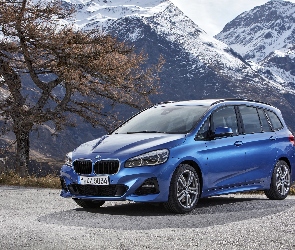 BMW M2 Gran Tourer, 2018, F46