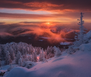 Ośnieżone, Wschód słońca, Góry Ural, Drzewa, Zima, Rosja, Park Narodowy Taganaj