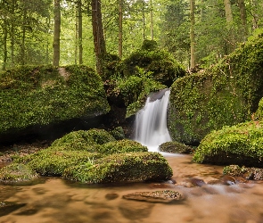 Drzewa, Region Nordschwarzwald, Kaskada, Gmina Bühlertal, Niemcy, Wodospady Gertelbach, Kamienie, Omszałe, Las, Potok Gertelbach