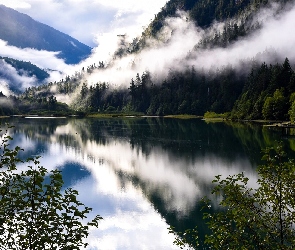 Jezioro, Drzewa, Góry, Mgła