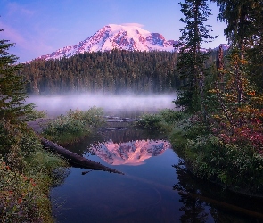 Stany Zjednoczone, Drzewa, Góra, Mgła, Las, Szczyt Mount Rainier, Stan Waszyngton, Park Narodowy Mount Rainier, Jezioro Reflection Lakes