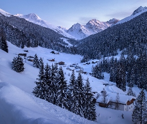 Góry Alpy, Zima, Szwajcaria, Miasto Davos, Drzewa, Kanton Gryzonia, Domy, Lasy