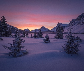 Drzewa, Alberta, Zima, Park Narodowy Banff, Kanada, Góry, Jezioro Bow Lake, Zamarznięte, Zachód słońca, Góra Crowfoot Mountain